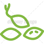 image_59.png image_59.png